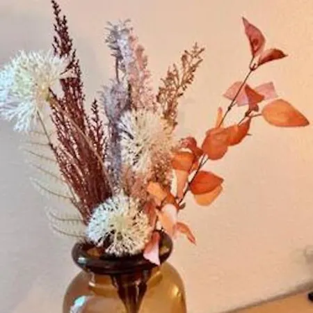 Modern&stilvoll Mit Kino - Wii * Essen