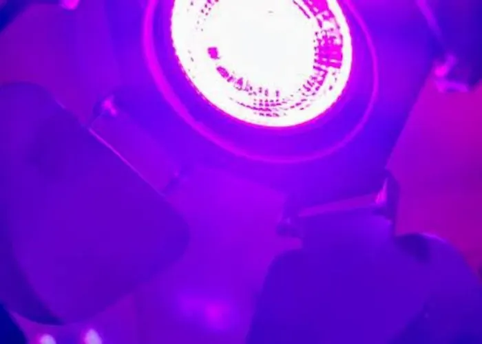 Modern & Stilvoll Mit Kino - Wii * Essen