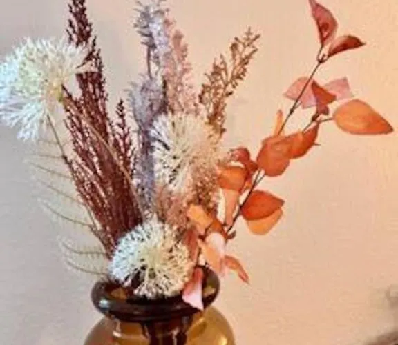 Modern & Stilvoll Mit Kino - Wii * 埃森